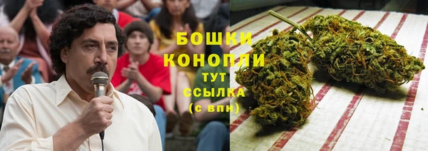 сатива Абдулино